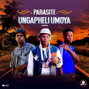 Ungowami (feat. Thalie Mambooica)