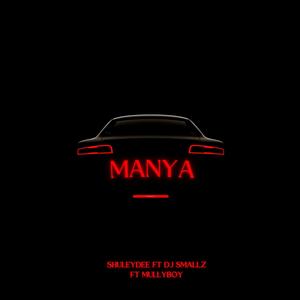 Manya (feat. DJ Smalzz & Mullyboy) [Explicit]