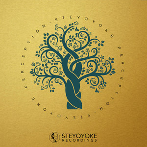 Steyoyoke Perception, Vol. 02