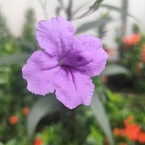 Lovely You Are To Me