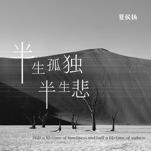 半生孤独半生悲 (DJ翊轩版)