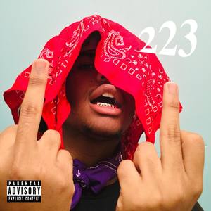 223 (Explicit)