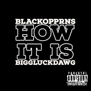 How It Is (feat. BiggLuckDawg) [Explicit]