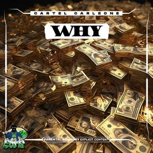 WHY (Explicit)