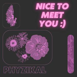 Nice To Meet You (Explicit)