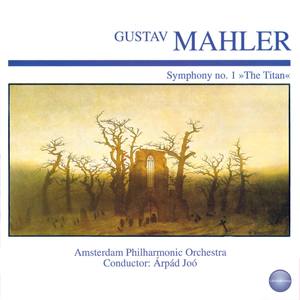 Symphony No. 1 in D Major 