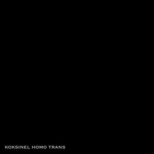 KOKSINEL HOMO TRANS (feat. Neetay) [Explicit]