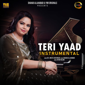 Teri Yaad (Instrumental)