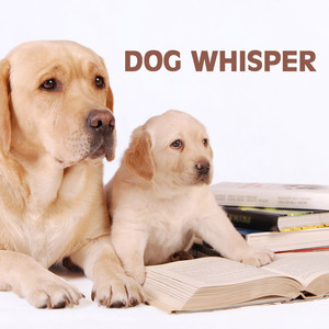 Dog Whisper: Relaxation Music and Calming Music for Dog, Whisperer in Wildlife