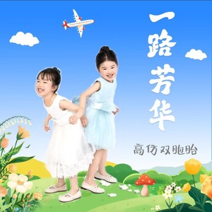 高仿双胞胎 - 一路芳华