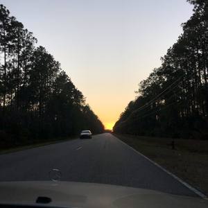 Niggas In The Woods (Explicit)