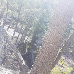 grown (feat. Seejayxo) (Explicit)