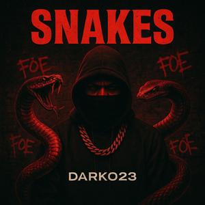 SNAKES (feat. Darko 023) (Explicit)
