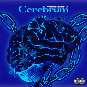 Cerebrum (Explicit)