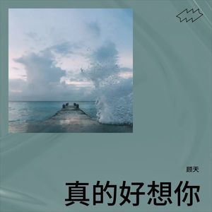 真的好想你