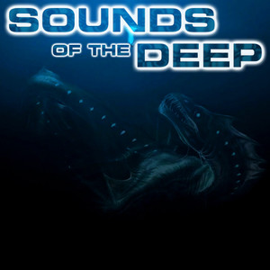 Sounds of the Deep (feat. White Noise Sounds For Sleep, Soothing Sounds, Soothing Baby Sounds, Nature Sounds New Age, Relaxing Nature Sound & National Geographic Nature Sounds)