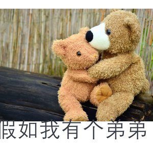 假如我有个弟弟