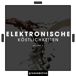 Elektronische Köstlichkeiten, Vol. 2