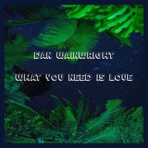 What You Need Is Love (Original Mix)