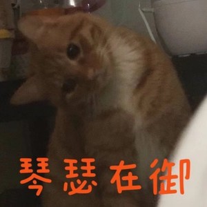 琴瑟在御 - 叫我天琦大人封面
