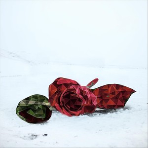 Roses in the Snow