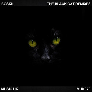 The Black Cat (TomTech 'TomCat' Remix)