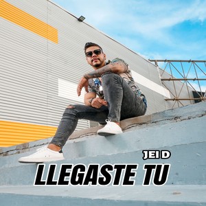 Llegaste tu