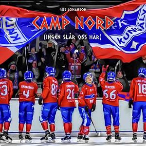 Vi har en Is, Vi har en Bro (feat. Allgott & Villgott)