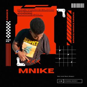 Mnike (feat. Fabric & Dankie Soll)