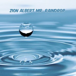 Mr. Raindrop