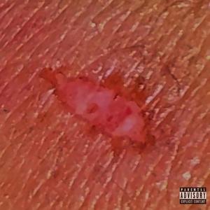 Wounds (feat. Absunti & ZENI) [Explicit]