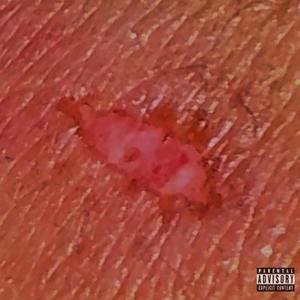 Wounds (feat. Absunti & ZENI) (Explicit)