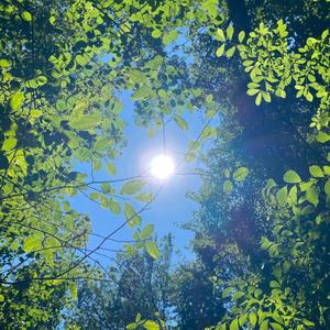 Irresponsible (feat. MoonLee, Just E! & Magik Powers) (Explicit)