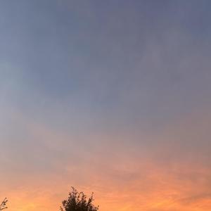 Not Friends (Explicit)