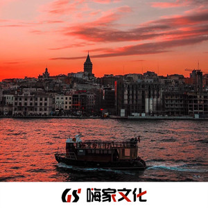 自改降调版 (Remix)