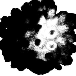 RITMADA DA BRASÍLIA (Explicit)