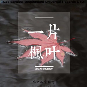 一片枫叶