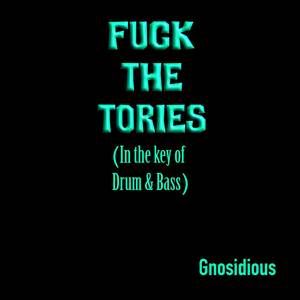 **** the Tories (In the Key of Drum & Bass) [Explicit]