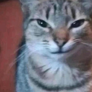 Loquesiento (Explicit)