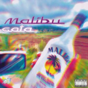 Malibu (Explicit)