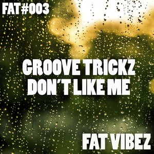 Don't Like Me (Original Mix)