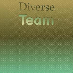 Diverse Team