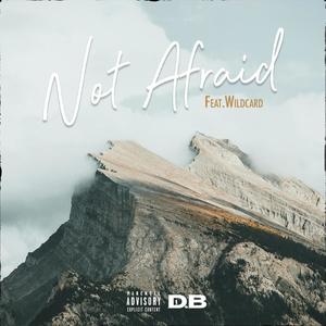 Not Afraid (feat. Wildcard) (Explicit)