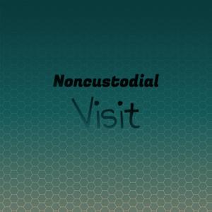 Noncustodial Visit