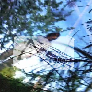 cautious (feat. prohip) (Explicit)