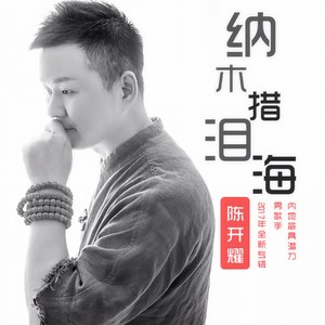 陈开耀 - 今生不想走