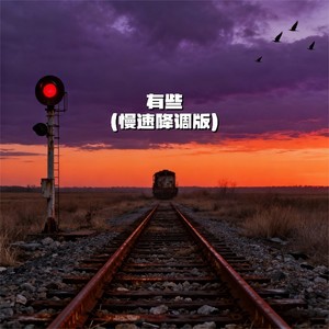 有些 (慢速降调版)封面
