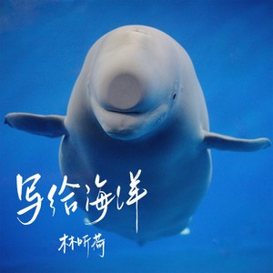 写给海洋
