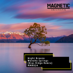 Wanaka Springs (Dias Ridge Remix)