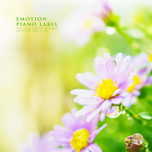 향기로운 햇살처럼 (Like Fragrant Sunshine)